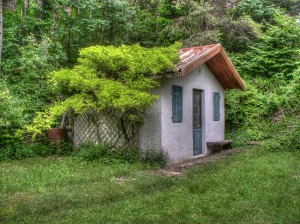 Cottage with overgrown tres and vines on the side.