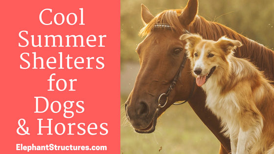 Use metal buildings for summer shelter for dogs and horses